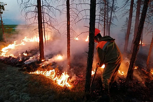 Лесные пожары в Сибири продолжатся до осенних дождей