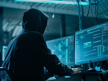 Роскомнадзор: сайты ЦИК подверглись 222 DDoS-атакам при подготовке к выборам