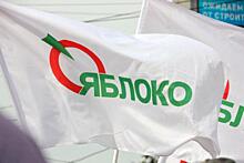 В Екатеринбурге был выбран новый председатель реготделения партии «Яблоко»