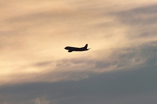 В Японии самолет вынужденно приземлился из-за дебошира