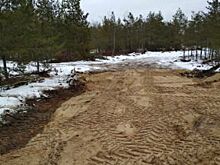 Автоцентр DAF утилизировал разлитые в лесу у Дзержинска отходы