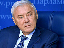 Анатолий Аксаков: Импортные товары для россиян могут стать доступнее