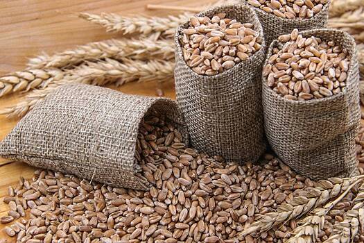 ООН и Афрэксимбанк разработают платформу для экспорта российского зерна