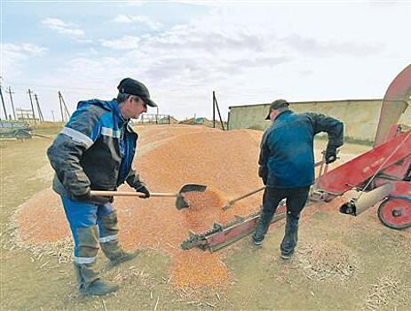 На АПК региона в 2023 году заложено 5,3 млрд рублей