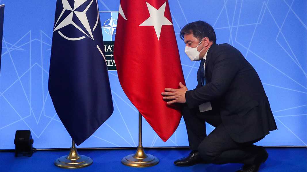 �&nbsp; ������ ������� ����������� ������ ������ �� ����