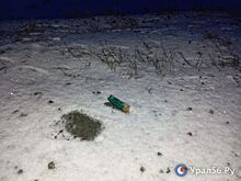 Стало известно о смерти собаки, в которую выпустили 20 дробин