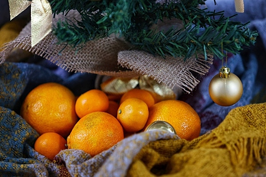 Эксперт рассказал, можно ли вырастить мандариновое дерево у себя дома