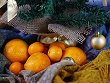 Эксперт рассказал, можно ли вырастить мандариновое дерево у себя дома