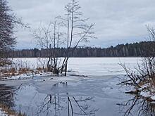 Во Владивостоке 11-летний школьник спас друга, провалившегося под лед озера