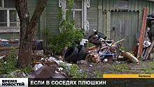 Жители Балахны жалуются на соседа, устроившего свалку на своём участке