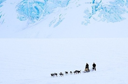 Глава Ростуризма: акцент в программе развития туризма Арктики будет сделан на круизах