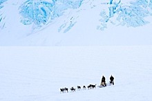 Глава Ростуризма: акцент в программе развития туризма Арктики будет сделан на круизах