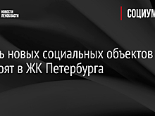 Девять новых социальных объектов построят в ЖК Петербурга