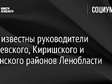 Стали известны руководители Сланцевского, Киришского и Тосненского районов Ленобласти