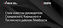 Стали известны руководители Сланцевского, Киришского и Тосненского районов Ленобласти