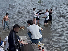 В Новосибирске выпускники открыли купальный сезон 22 мая