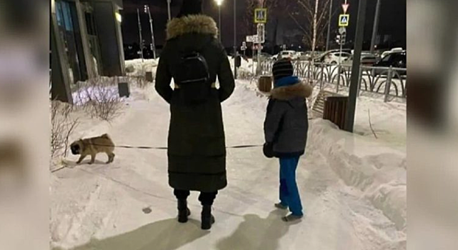 Врачи объяснили последствия прогулки в носках на морозе для мальчика из Екатеринбурга