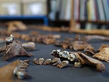 Человеческие останки в багаже пассажира обнаружили в аэропорту США