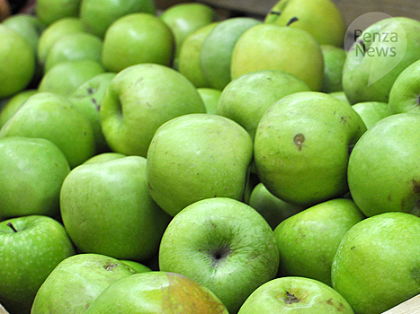 На полигоне под Пензой уничтожено около 250 кг яблок