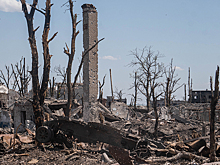 Из плана Трампа по Украине исчез еще один пункт