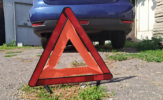 В Курской области водитель без прав протаранил дерево
