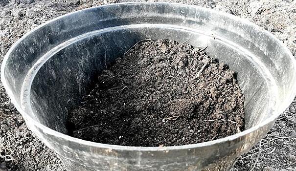 Заготовка почвы для рассады осенью: «Дачная помощь» от Россельхозцентра по Владимирской области