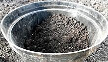 Заготовка почвы для рассады осенью: «Дачная помощь» от Россельхозцентра по Владимирской области