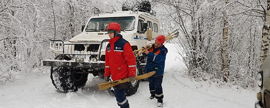 В Новгородской области из-за непогоды без света остаются более 1900 человек