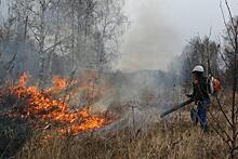 Для борьбы с пожарами в Челябинской области внедрят систему «Лесной дозор»