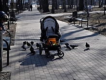 Более 6,5 тысяч российских детей и подростков без вести пропали за последние полгода