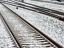 "Зеленые" Эстонии: проблемы с Rail Baltic есть, но ЕС пока деньги дает