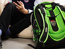 В России оценили вероятность появления выплаты родителям школьников к 1 сентября