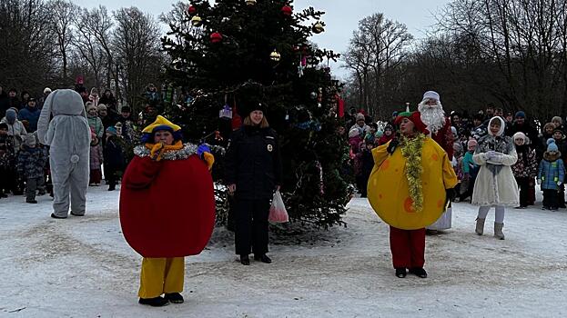 Более 5000 вологжан посетили новогодние представления в микрорайонах города