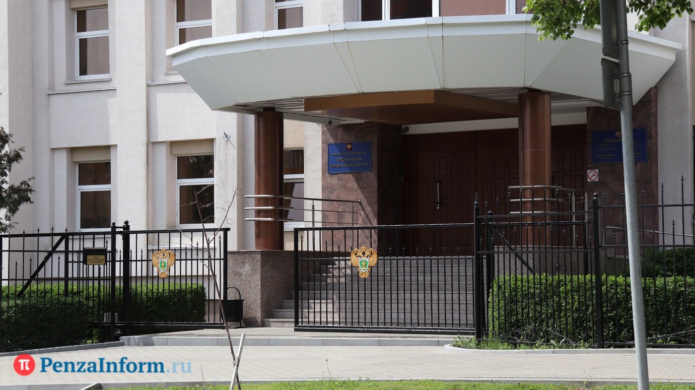 Нападение пса на ребенка в Пензе: прокуратура начала проверку