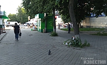 Мэрия Курска в третий раз вынуждена убрать павильон из сквера за остановкой «Улица Народная»