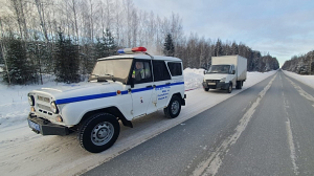 В Республике Марий Эл госавтоинспекторы оказывают необходимую помощь водителям в условиях сильных заморозков