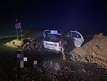В Курганской области в ДТП с грузовиками погибли два человека