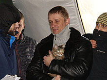 Среди обмененных на Украине пленных оказалась кошка