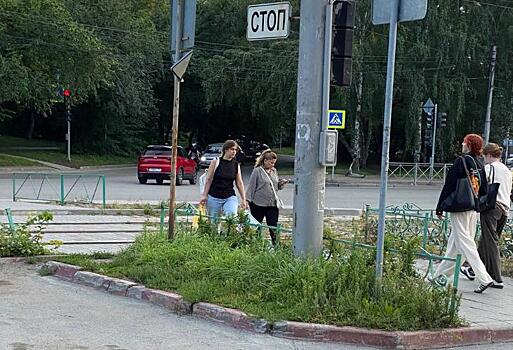 Роковые кусты у трамвайных путей снесли после гибели женщины в Новосибирске