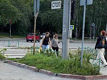 Роковые кусты у трамвайных путей снесли после гибели женщины в Новосибирске