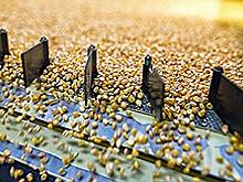 Гулькевичский крахмальный завод занял на детское питание