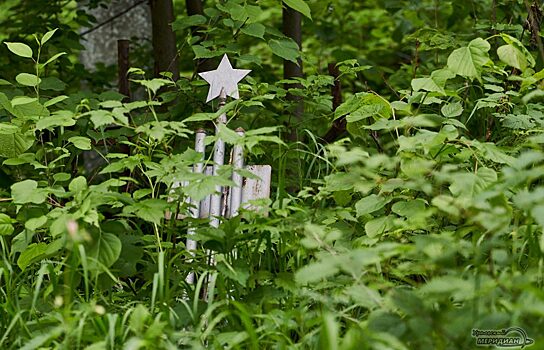 На Завальном кладбище Тобольска поставили видеокамеры