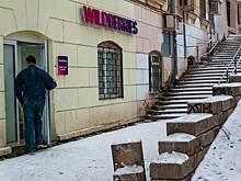 Полиция задержала 16 мигрантов во время проверки сотрудников Wildberries