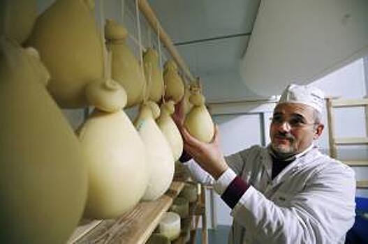 Фермерское движение на Дону набирает обороты