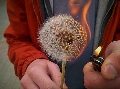 Костромич заплатил больше 60 тысяч государству за посиделки у костра