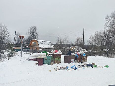          Ситчихин: Проводят совещания. Нашли, чем гордиться! Пока мусор выигрывает эту войну       