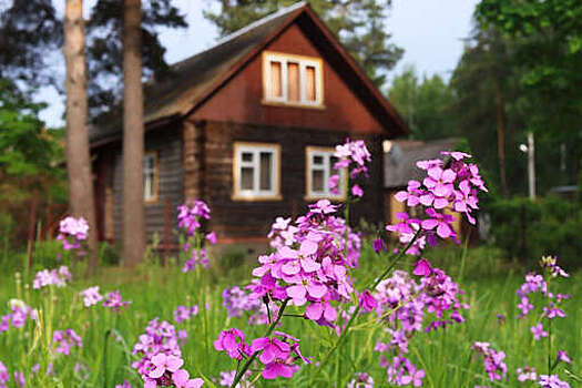 ПНИПУ: разработан новый метод восстановления исторических деревянных зданий