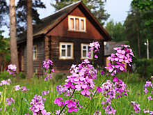 ПНИПУ: разработан новый метод восстановления исторических деревянных зданий