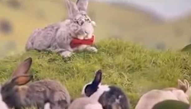 СМИ: польский минздрав с помощью видео про кроликов призвал граждан размножаться