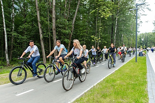 В этом году в Московской области создадут еще восемь парков в лесах